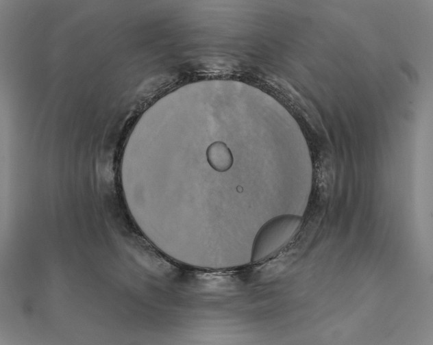 X0000111480516200908111204