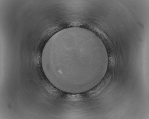 X0000111480517200908111204