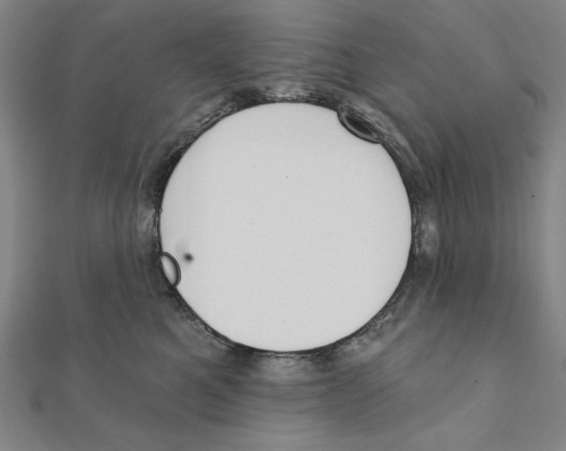 X0000111480521200908111204