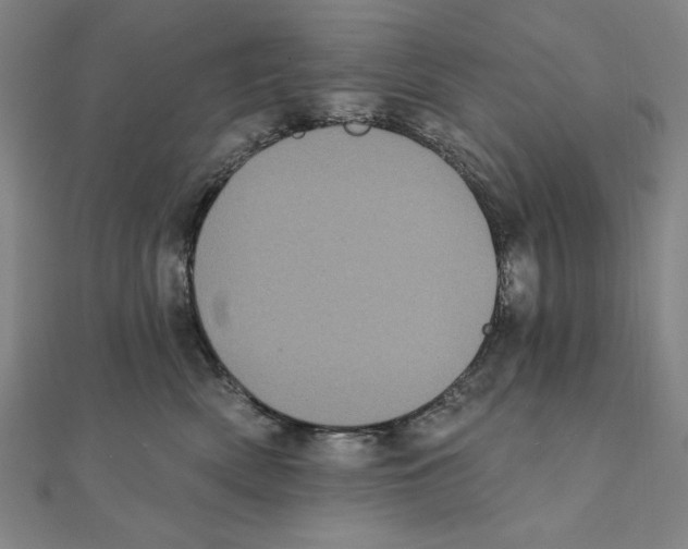 X0000111480522200908111204