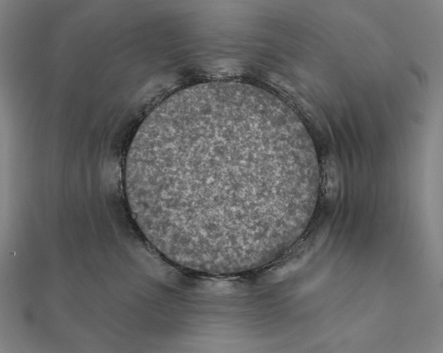X0000111480523200908111204