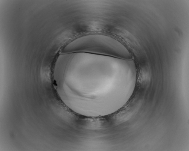 X0000111480524200908111204