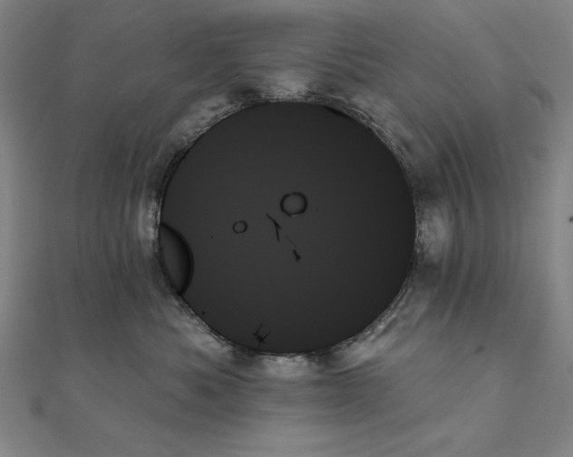 X0000111480525200908111204