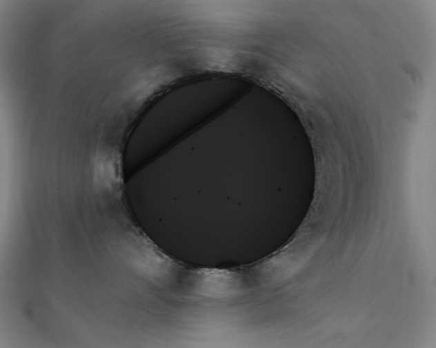 X0000111480528200908111204