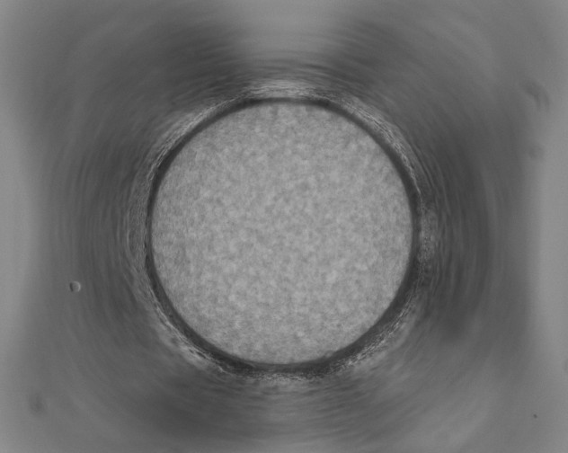 X0000111480529200908111203