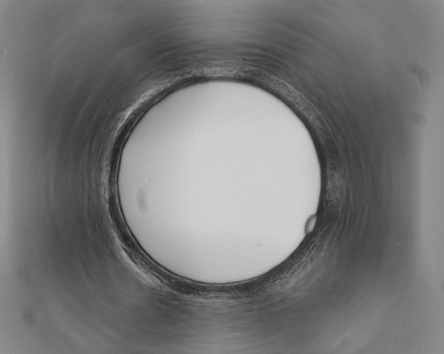 X0000111480530200908111203
