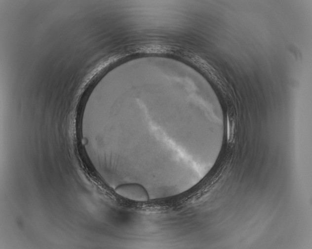 X0000111480531200908111203