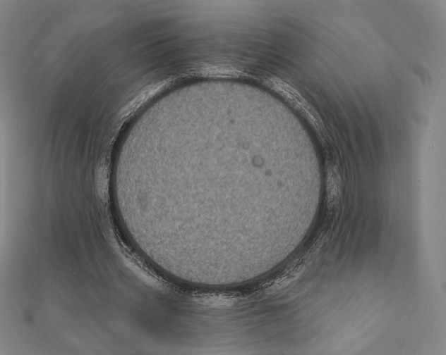 X0000111480533200908111203