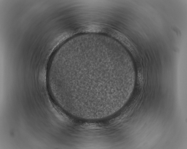 X0000111480534200908111203