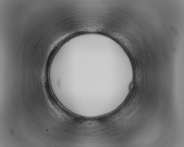 X0000111480536200908111203