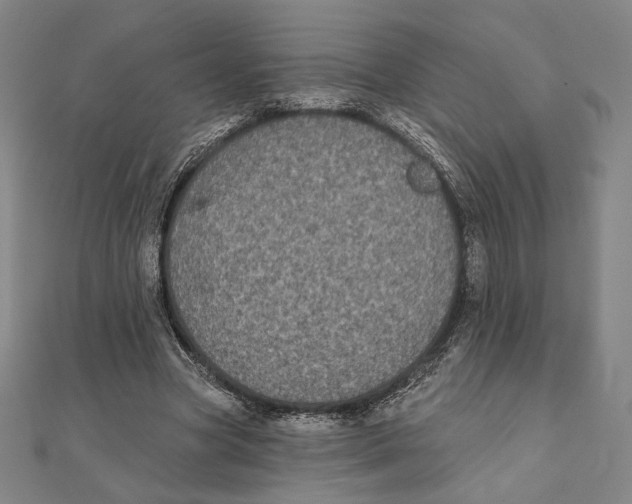 X0000111480537200908111203