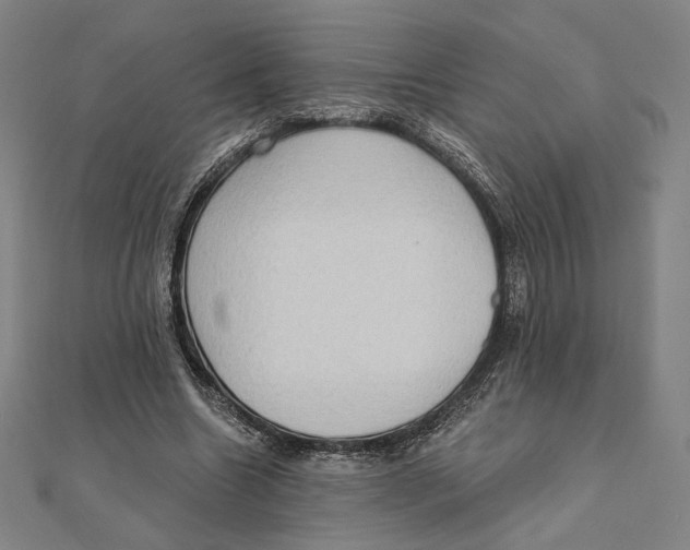 X0000111480538200908111203
