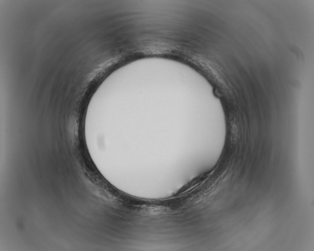 X0000111480539200908111204