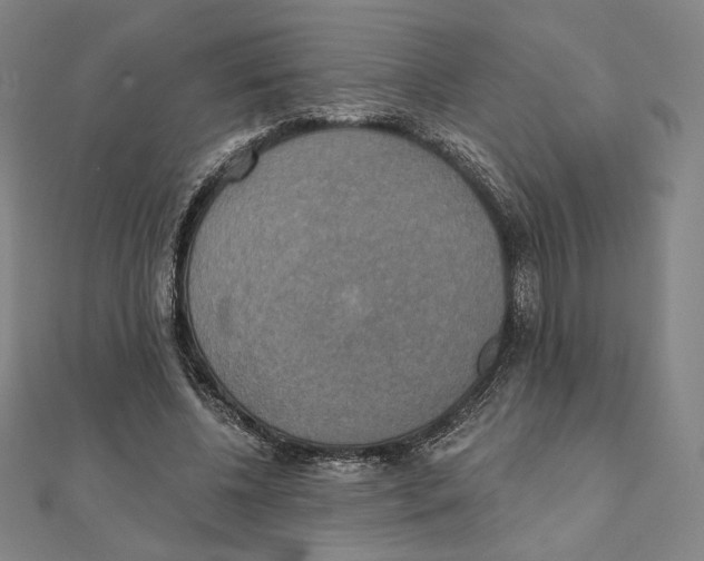 X0000111480540200908111204