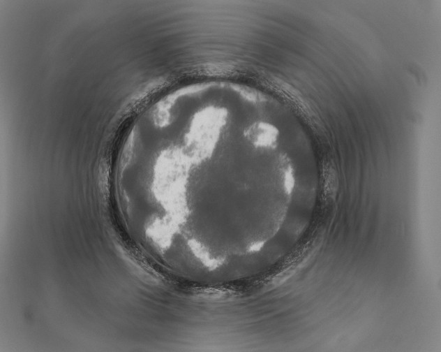 X0000111480542200908111204