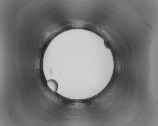 X0000111480543200908111204