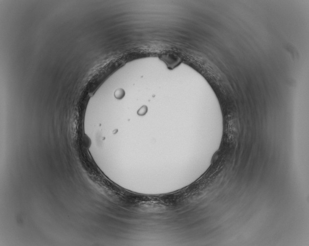 X0000111480544200908111204