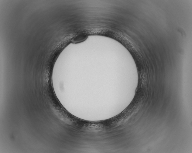 X0000111480546200908111204