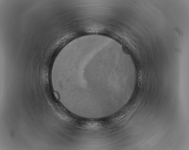 X0000111480547200908111204