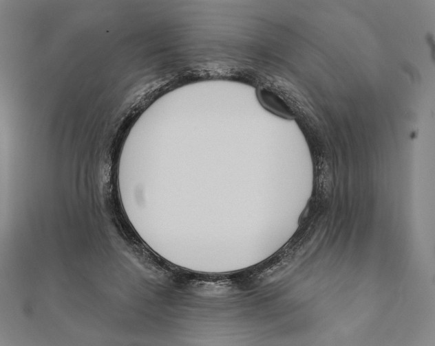 X0000111480548200908111204