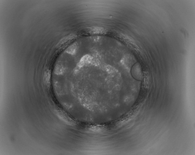X0000111480550200908111204