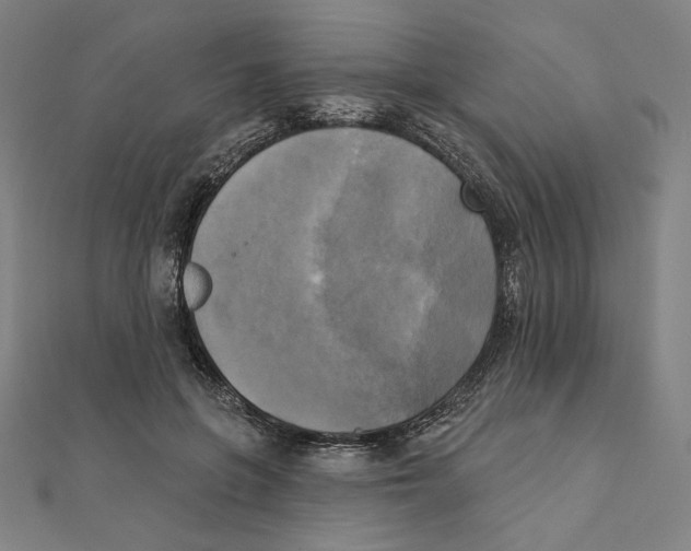 X0000111480551200908111204