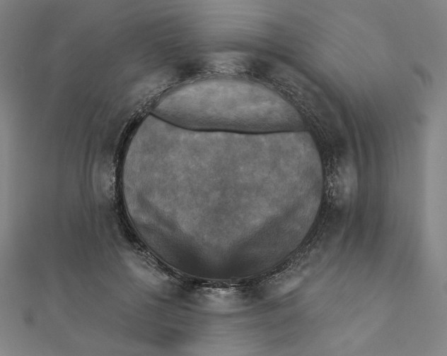 X0000111480552200908111204