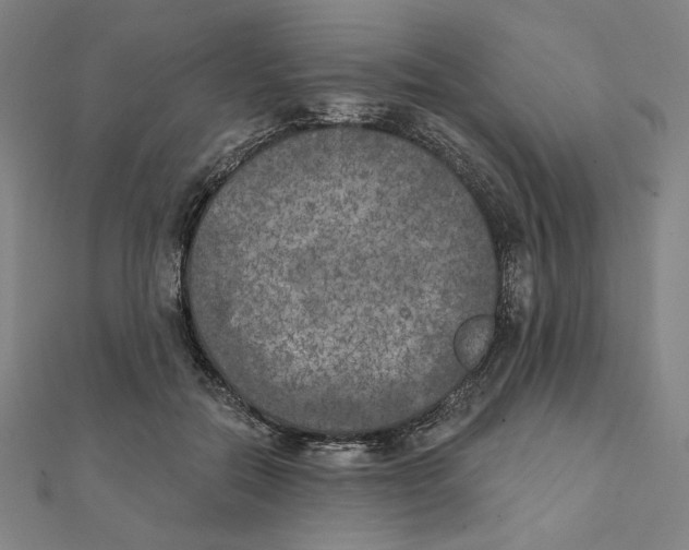 X0000111480554200908111204
