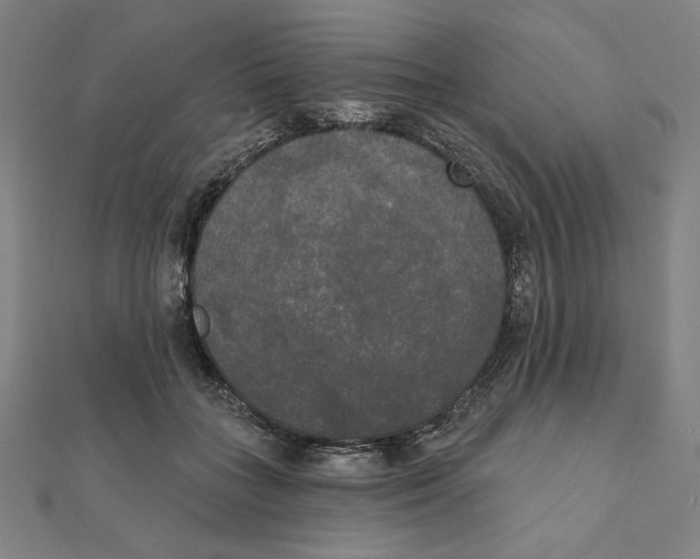 X0000111480555200908111204