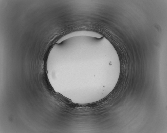 X0000111480556200908111204