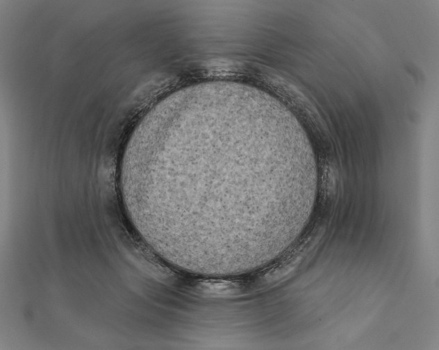 X0000111480557200908111204
