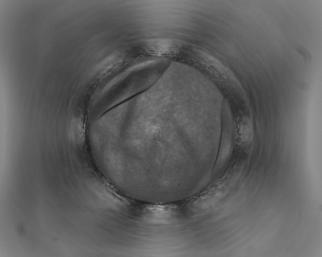 X0000111480558200908111204