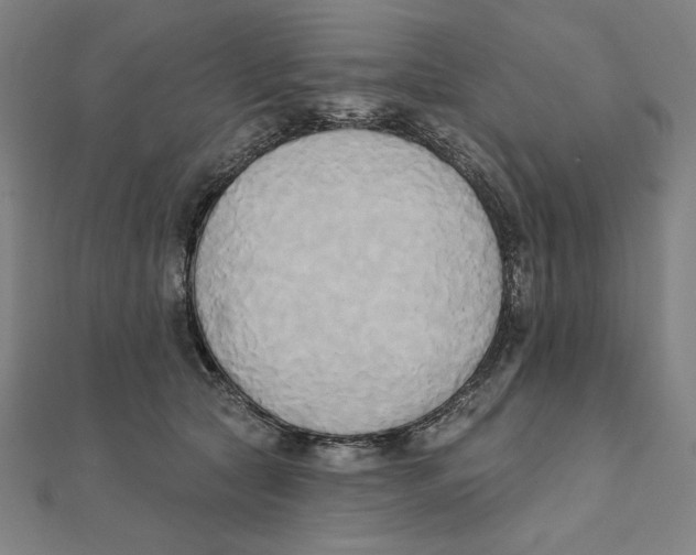 X0000111480561200908111204
