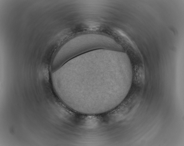 X0000111480562200908111204