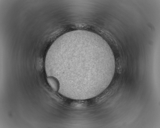 X0000111480563200908111204