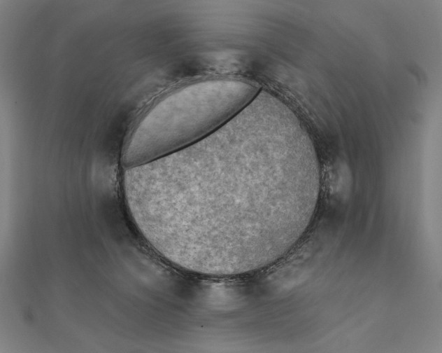 X0000111480564200908111204