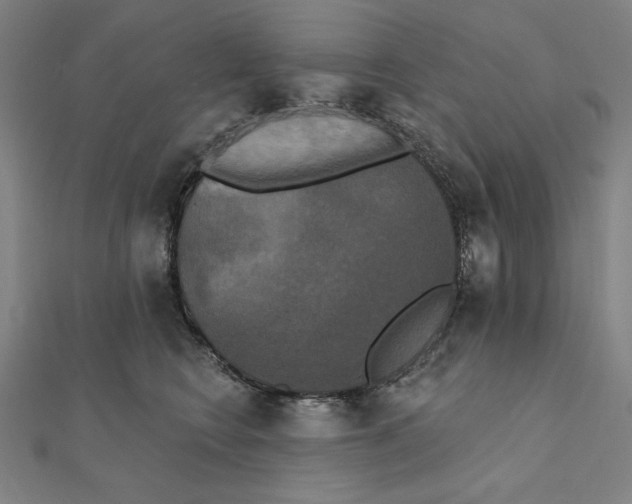 X0000111480566200908111204