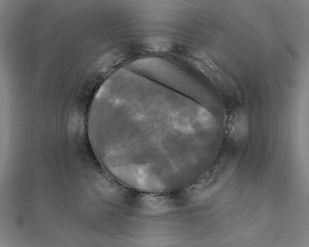 X0000111480568200908111204