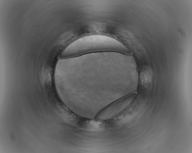 X0000111480570200908111204