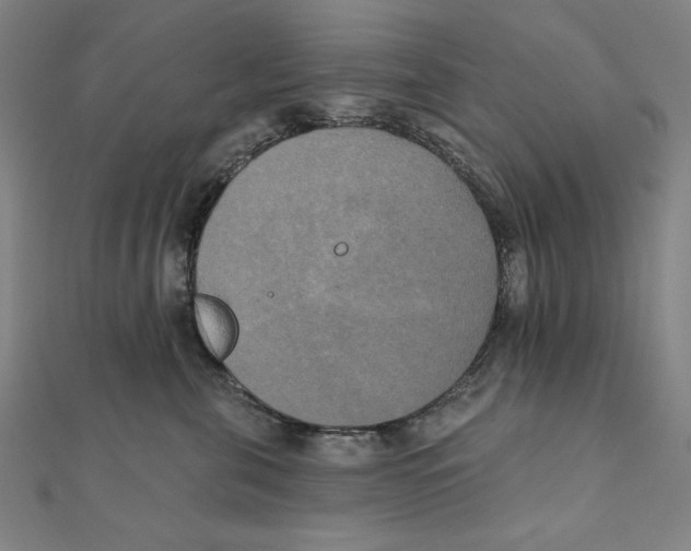 X0000111480571200908111204