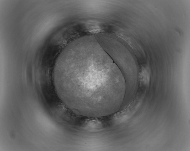 X0000111480572200908111204