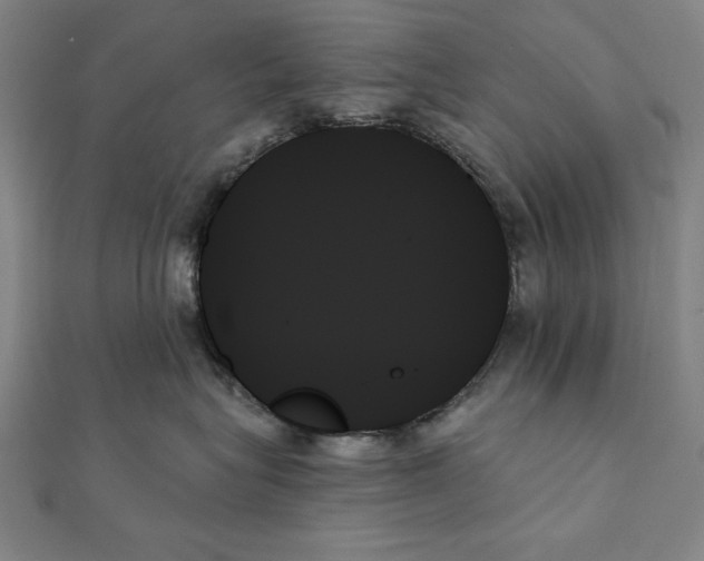 X0000111480575200908111204