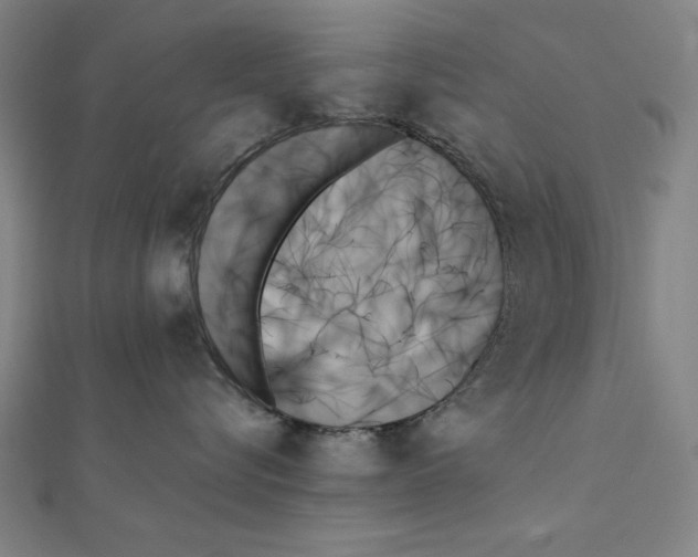 X0000111480576200908111204
