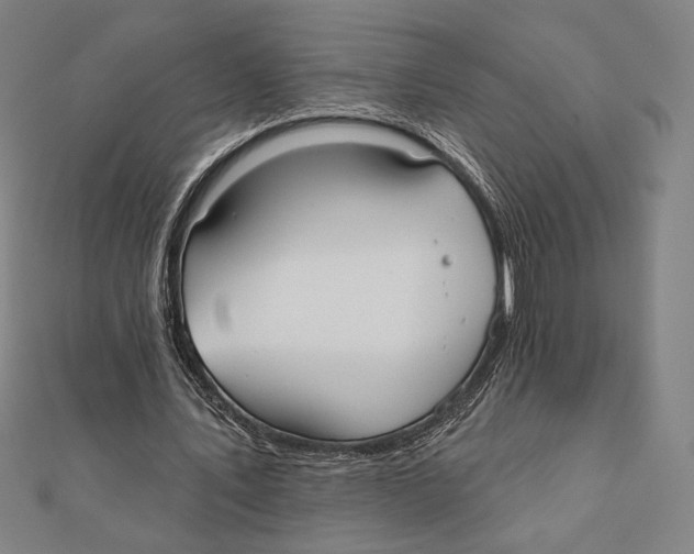 X0000111480579200908111203