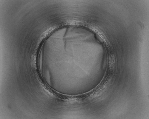 X0000111480581200908111203