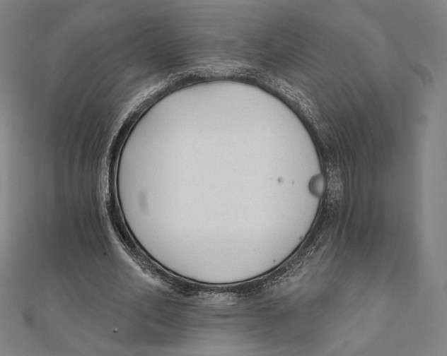 X0000111480582200908111203