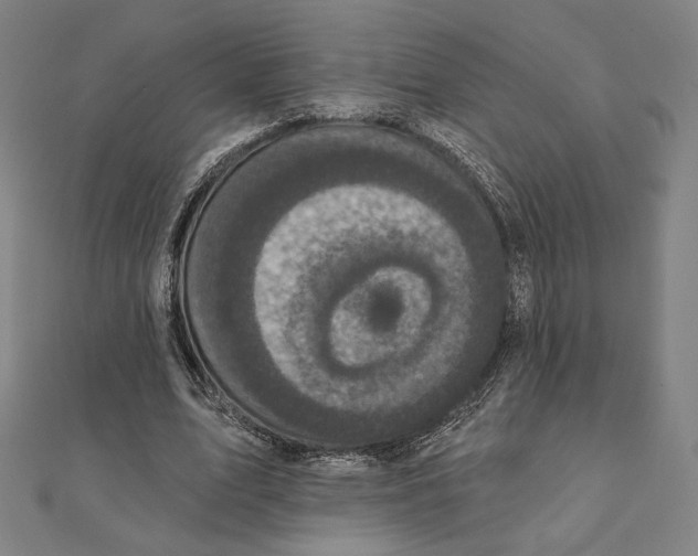 X0000111480583200908111203