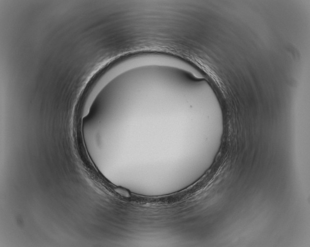 X0000111480584200908111203