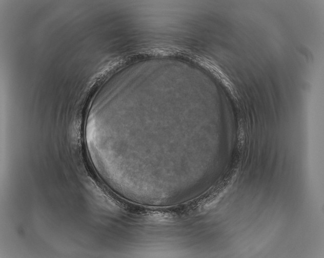 X0000111480585200908111203