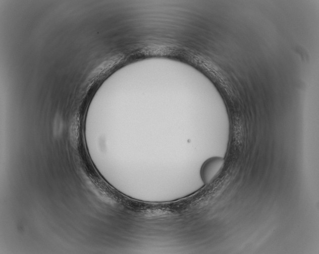X0000111480586200908111203